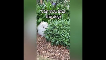 Mobile game ads be like