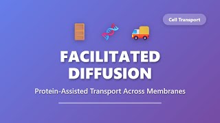 Facilitated Diffusion Explained: Channel & Carrier Proteins | Cell Transport