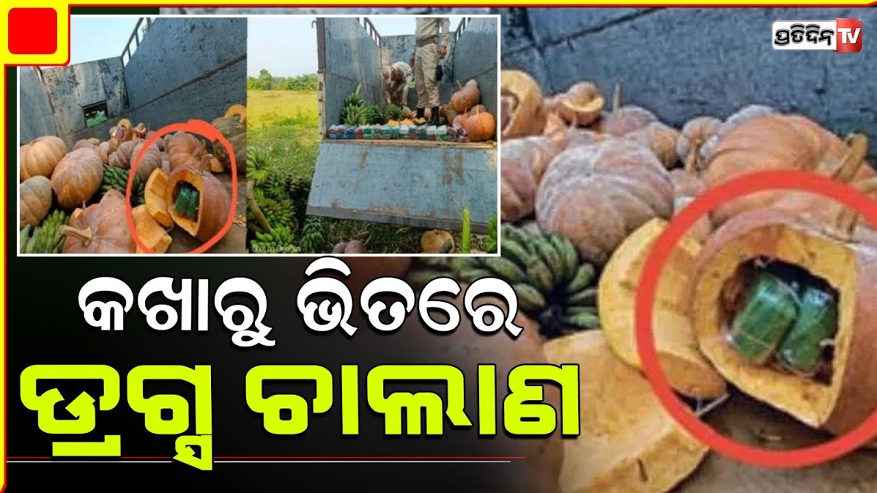 କଖାରୁ ଭିତରେ ଲୁଚାଯାଇଥିଲା ୩.୫ କୋଟି ଟଙ୍କା ମୂଲ୍ୟର ହେରୋଇନ୍‌, ୨ ଡ୍ରଗ୍ସ ଚୋରା ଚାଲାଣକରୀ ଗିରଫ |drugs pumpkins