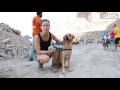 Trekking in RAK with 150 dogs