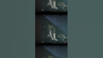 Thumbnail of Joe Bonamassa - I Want To Shout About It
