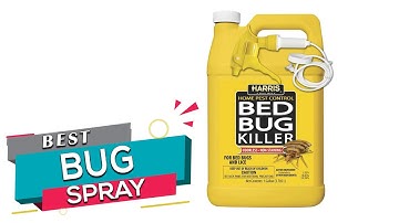 Top 5 Bed Bug Sprays Review in 2023
