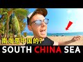 The South China Sea Belongs to China? 南海是中国的？🇨🇳 Unseen China