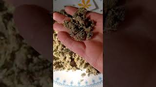 Jaxon Wellness, Lemon Octane Purple 1/4 pound CBD hemp flower (is it good)