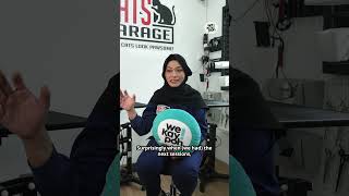 Wdyd what Do You Do Meet Singapores Awardwinning Cat Groomer   wekaypoh