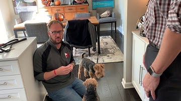 Using Counterconditioning to stop Mary From Biting People Who Pick up Her Sister