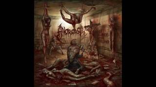 Anorgasm - Neuroglia Vital (HQ) 2016