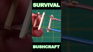 Survival bushcraft skills