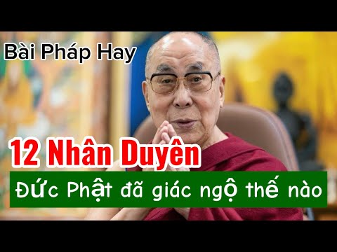 Đức Phật và các Bậc Thánh thấy gì qua 12 nhân duyên | Thánh Đức DaLai LaMa khai thị