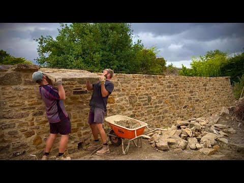 Did I Even Finish Building This Wall?