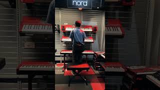 Never stop dreaming : nord : sax : keyboards #parrotomen #ghenerousbharata