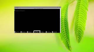 Installing TeamSpeak 3 Server On Debian 9
