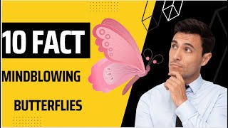 10 Mind-Blowing Butterfly Facts You Didn't Know!