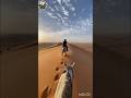 #music #song #equinoserural tranquilidade