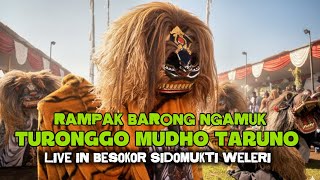 Download Lagu RAMPAK BARONG NGAMUK TURONGGO MUDHO TARUNO LIVE BESOKOR SIDOMUKTI WELERI MP3