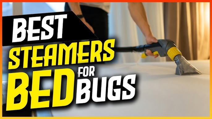 Steam Mattress Cleaning Machines for Bed Bugs Removal 