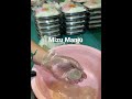 Mizu Manju Daifuku