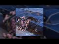 (FREE) Emotional Guitar Loop Kit/Sample Pack "My Time" (Sad, Pain, Melodic)