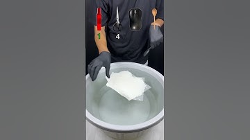 Which item floats on tissue in water #asmr #satisfying #shorts #australia #unitedstates