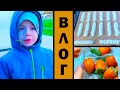 ГОТОВИМ ВКУСНЯШКИ. ПОХОЛОДАЛО( ВЛОГ.