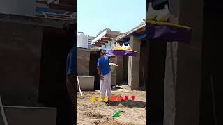 Low Flying Pigeons Kabutar Chatri Wale Malwai Kabutar Patti Wale Kabutar