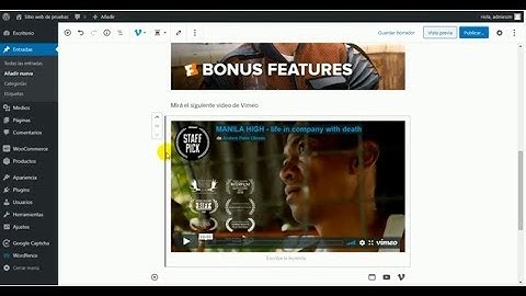 Wordpress: Cómo insertar un vídeo de YouTube o Vimeo