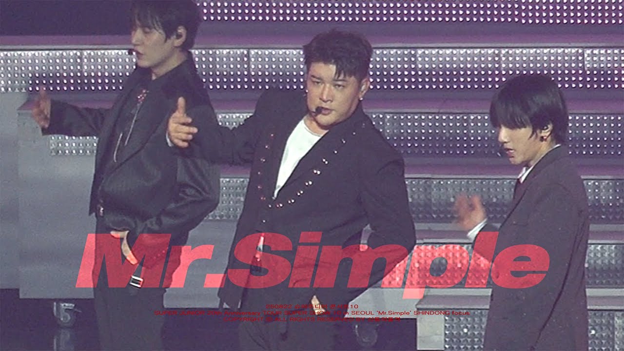 250822 SUPER JUNIOR SHINDONG : SUPER SHOW 10 in SEOUL 미스터 심플 신동ver