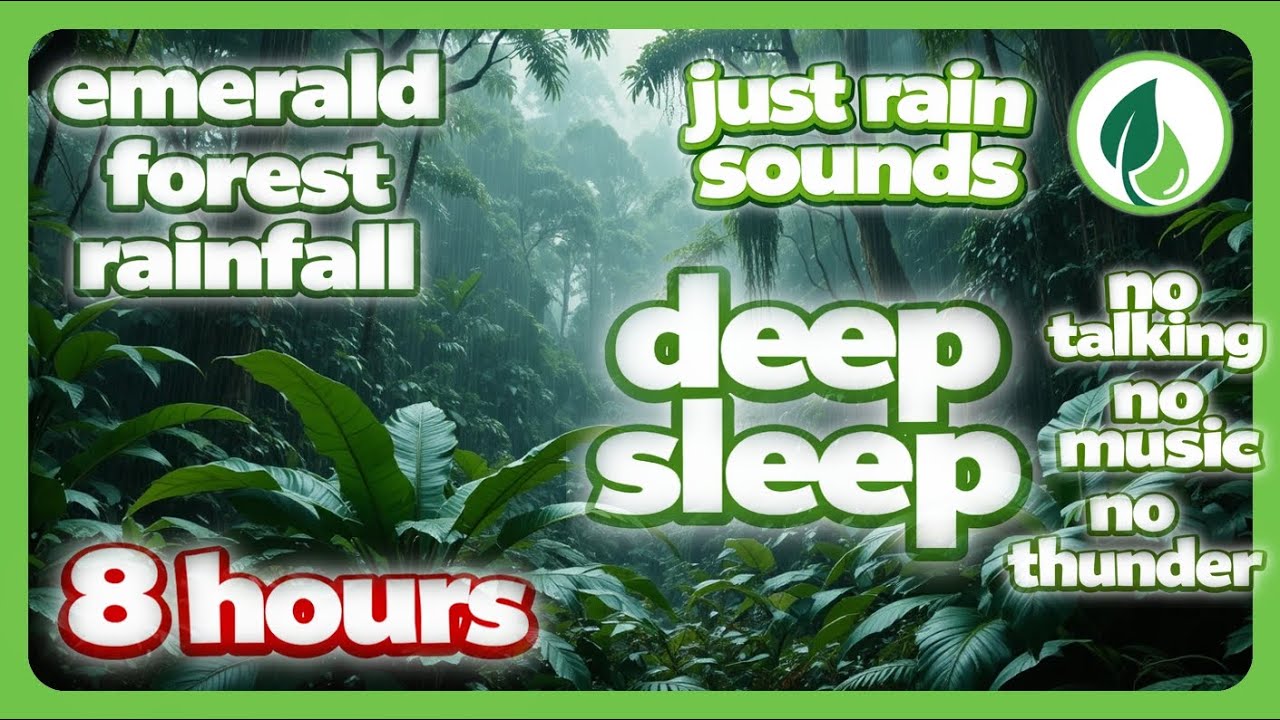 8 hours Emerald Forest Rain with Only Rain Sounds | Lluvia de bosque esmeralda solo con sonido de