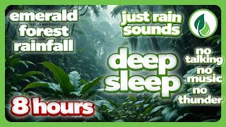 Forest Rain Sleep Aid: 8 Hours of Pure Relaxation (no music)