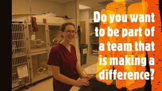 Be a part of the Hickory Family