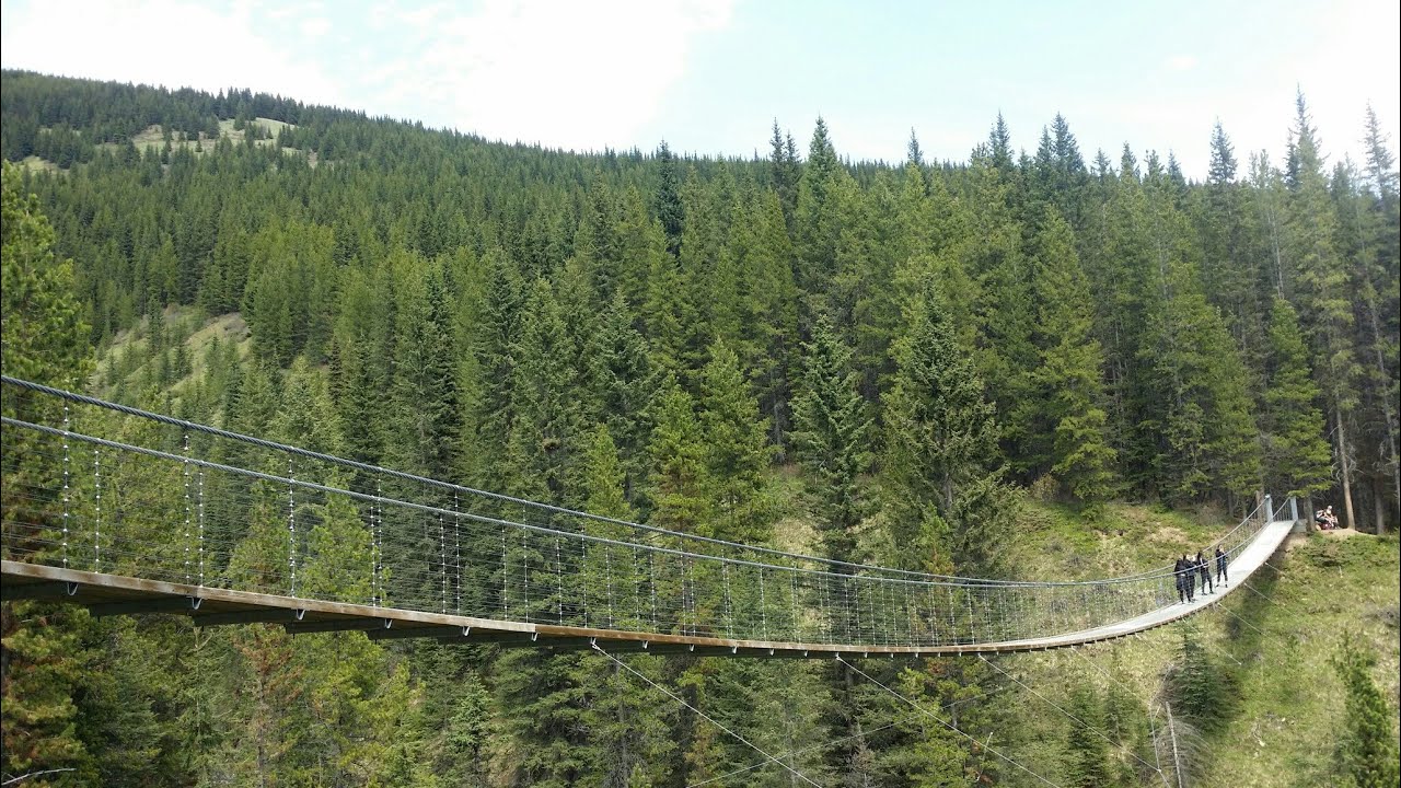 Crossing the Blackshale's Kostam Suspension Bridge Kananaskis