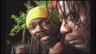 Louie Culture - Too Much Pressure On The Donkey Back |   | Reggae Gold 2021