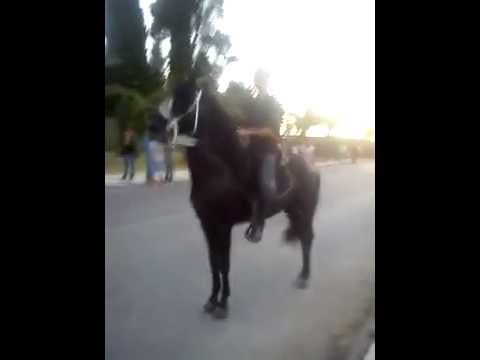 Ευθύμιος Δενδρινός -