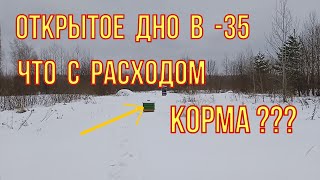 Зимовка пчёл на сетчатом дне. Слабонервным не смотреть. Январские морозы и расход корма.