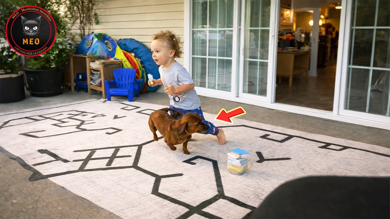 Los errores más estúpidos captados en cámara | LOS NIÑOS NUNCA NOS FALLAN