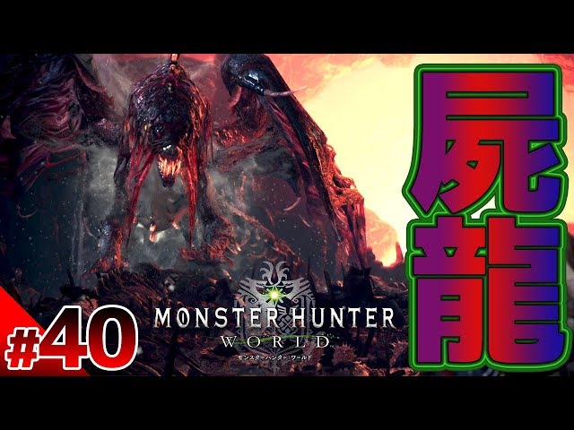 モンスターハンターワールド Amazon.co.jp: モンスターハンター:ワールド Best Price(再廉価