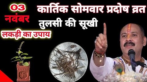 3 नवंबर कार्तिक सोमवार प्रदोष व्रत 2025 | तुलसी की सुखी लकड़ी वाला अचूक उपाय | Pradeep Ji Mishra 