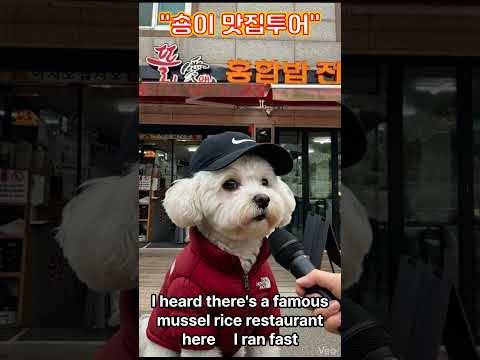 삼척쏠비치"맛집  뜰애홍합밥" #맛집#쏠비치#숑이