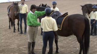 Saddle Up Safely Riding Demo/Safety Tips