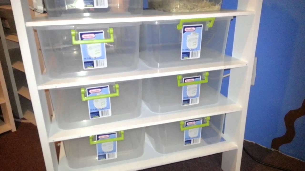 New 12 Qt Snake Rack - YouTube