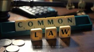 The Advantages of Judicial Precedent -  www.e-lawresources.co.uk