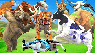 3 Zombie Cows Vs 3 Zombie Buffalos Fight Tiger Chase Cow Cartoon Saved by Woolly Mammoth Elephant
