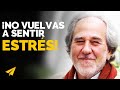 Así Puedes Reprogramar tu Mente Hoy | Dr. Bruce Lipton en Español: Cuida tu Cerebro Todos los Días