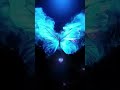 BLUE BUTTERFLY IN THE SKY mp3