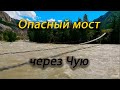 Алтай 2020. Петроглифы. Опасный мост через реку Чуя. Часть 3