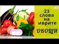 23 слова на иврите ٭ ГРИБЫ, ЛУК, ОВОЩИ на иврите ٭ Изучение иврита