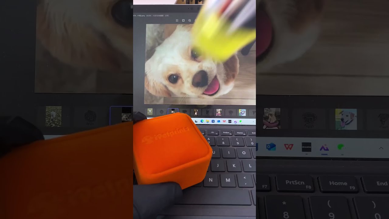 Google Search IPetprints The House Is Quiet This How I Hold Her Close