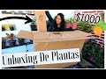 Unboxing De Plantas por internet // FUE UNA GRAN SORPRESA // Valio La Pena????