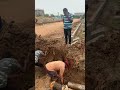#drain work soil cutting # construction 👷🏻‍♀️👷🏻‍♀️👷🏻‍♀️