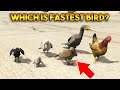 GTA 5 ONLINE : WHICH IS FASTEST BIRD?